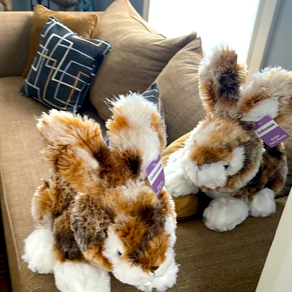 Cottondale 13 inch funny Bunny